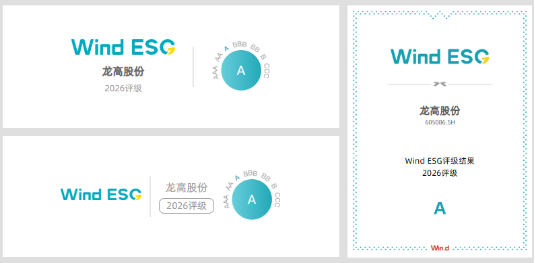 龙高股份稳固 Wind（万得） ESG 评级A级
