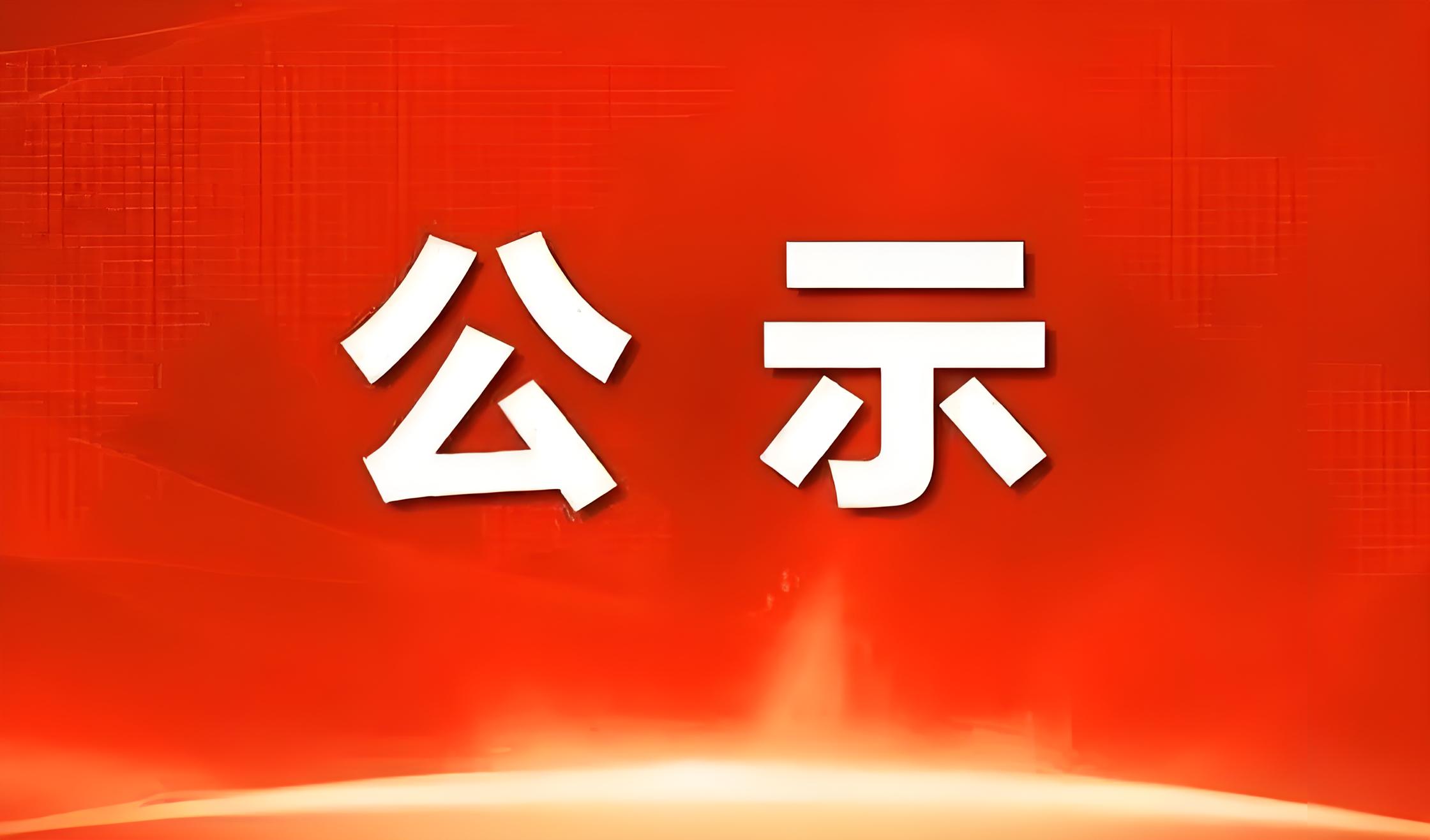 龙岩高岭土股份有限公司2026年第十七期产品竞价销售结果公示